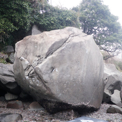 [画像]記事画像