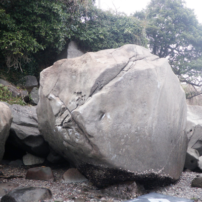 [画像]記事画像